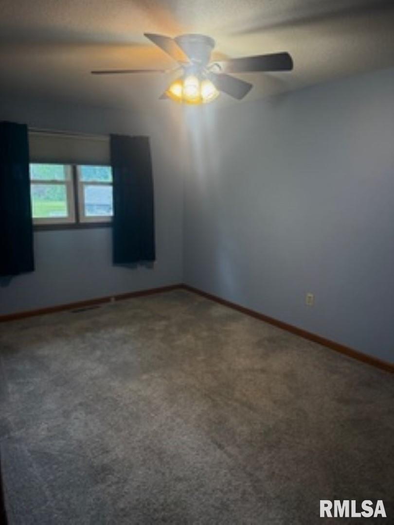 901 Paradise Acres Liberty, IL 62347 - Photo 14 of 24