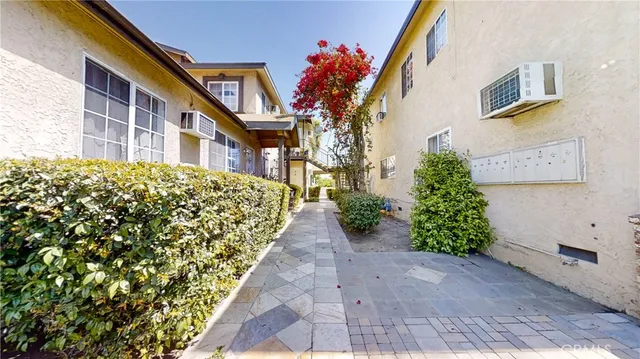 a view of backyard with plants