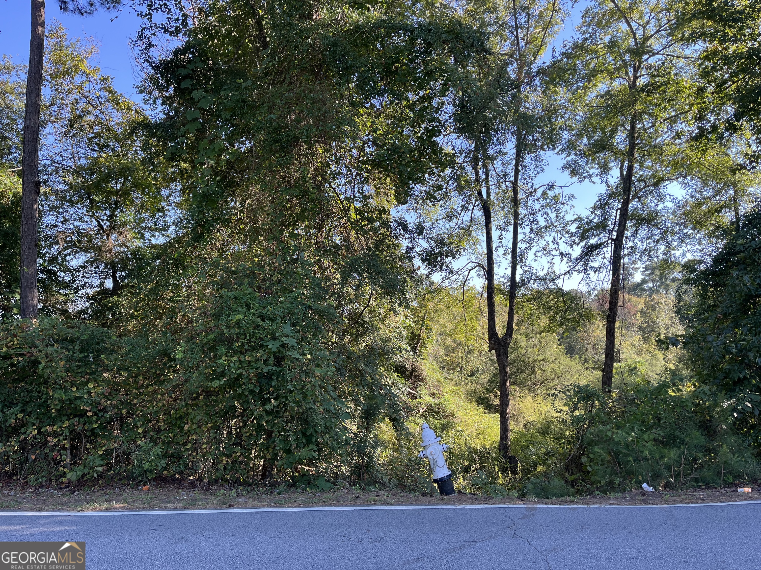 a view of swimming pool from a window