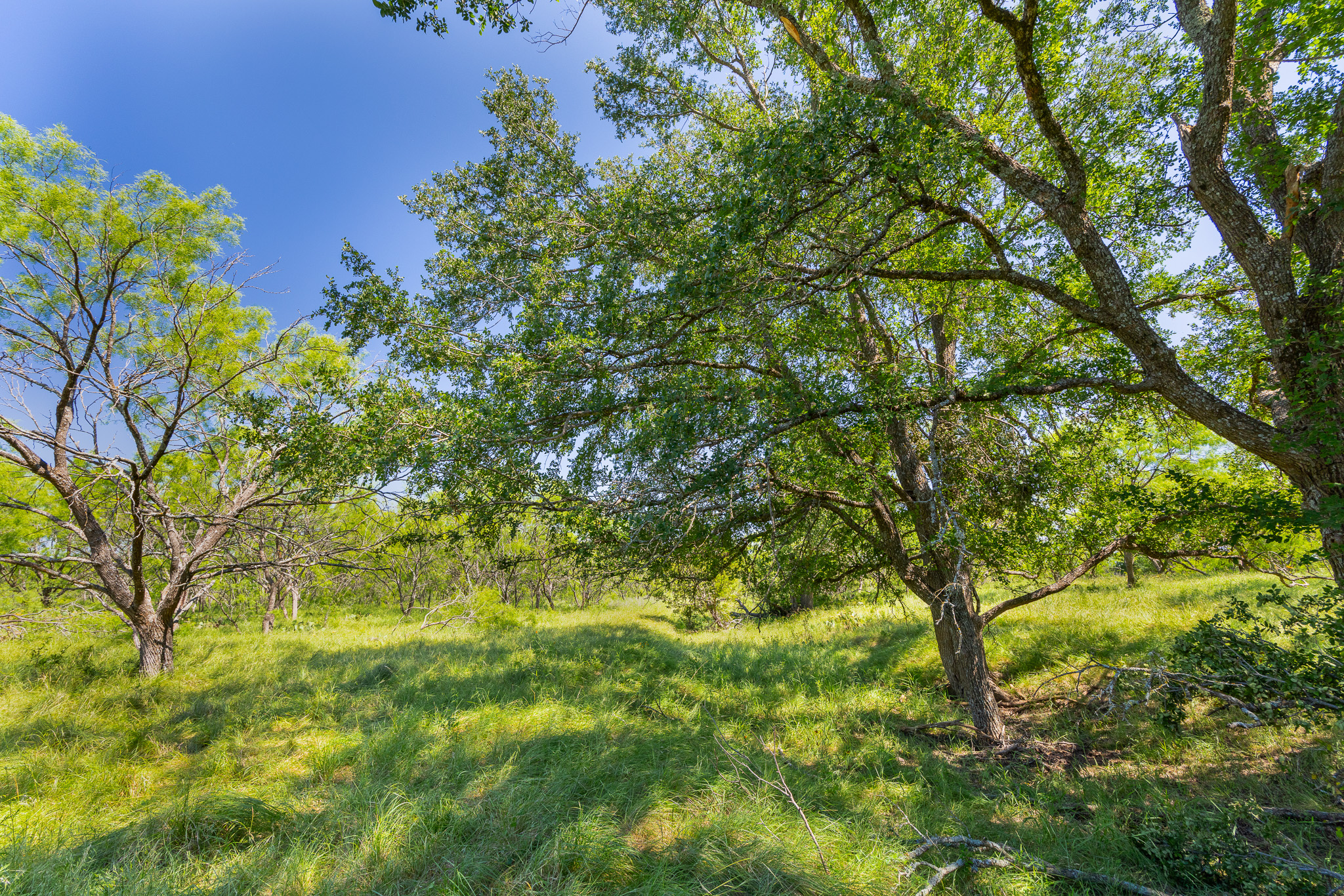 180 Rd Purmela Tx 76566 Road Purmela, TX 76566 - Photo 3 of 27 Gallery Image 3