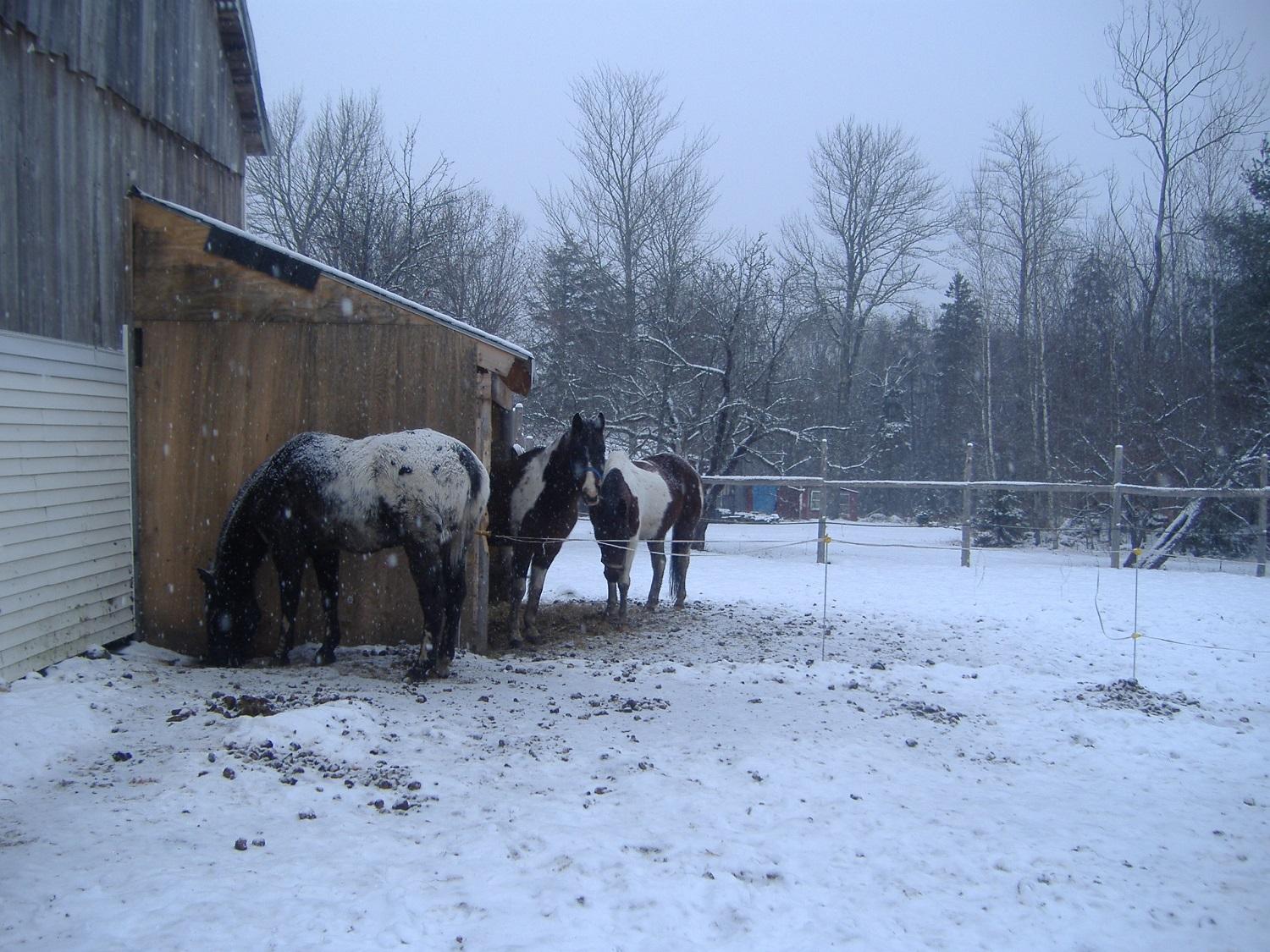 343 Moose Hill Road Ellsworth, ME 04605 - Photo 35 of 37 dl2-12-25 002