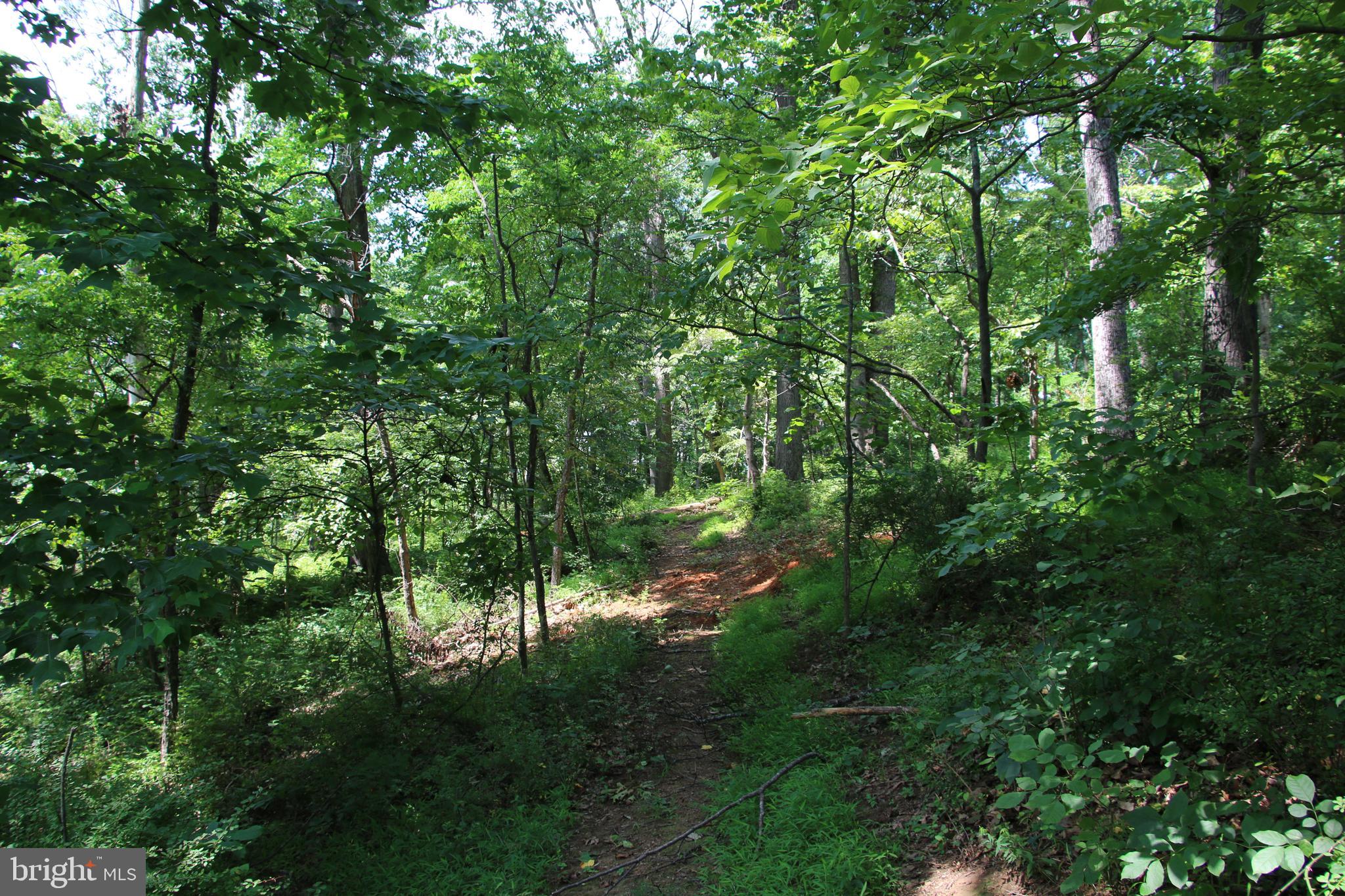 Meriwether Front Royal, VA 22630 - Photo 14 of 19 Gallery Image 14
