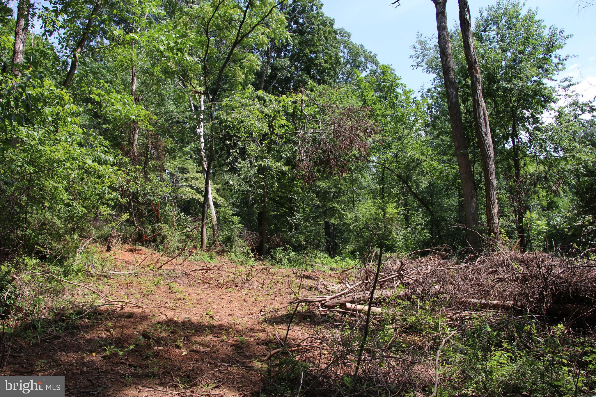 Meriwether Front Royal, VA 22630 - Photo 17 of 19 Gallery Image 17