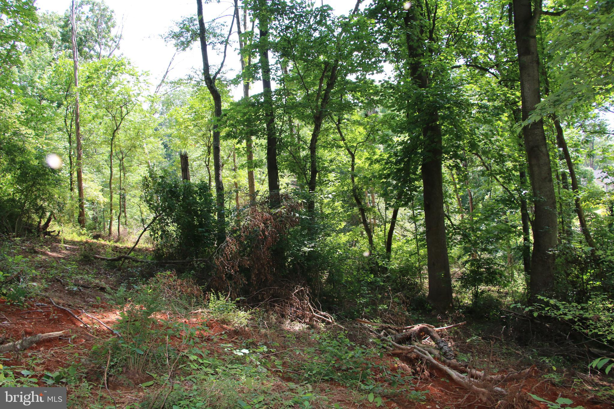 Meriwether Front Royal, VA 22630 - Photo 18 of 19 Gallery Image 18