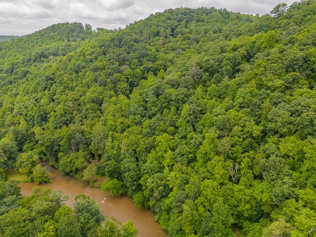 Tbd River Road, Unit 74 Hillsville, VA 24343 - Photo 7 of 31 Gallery Image 7