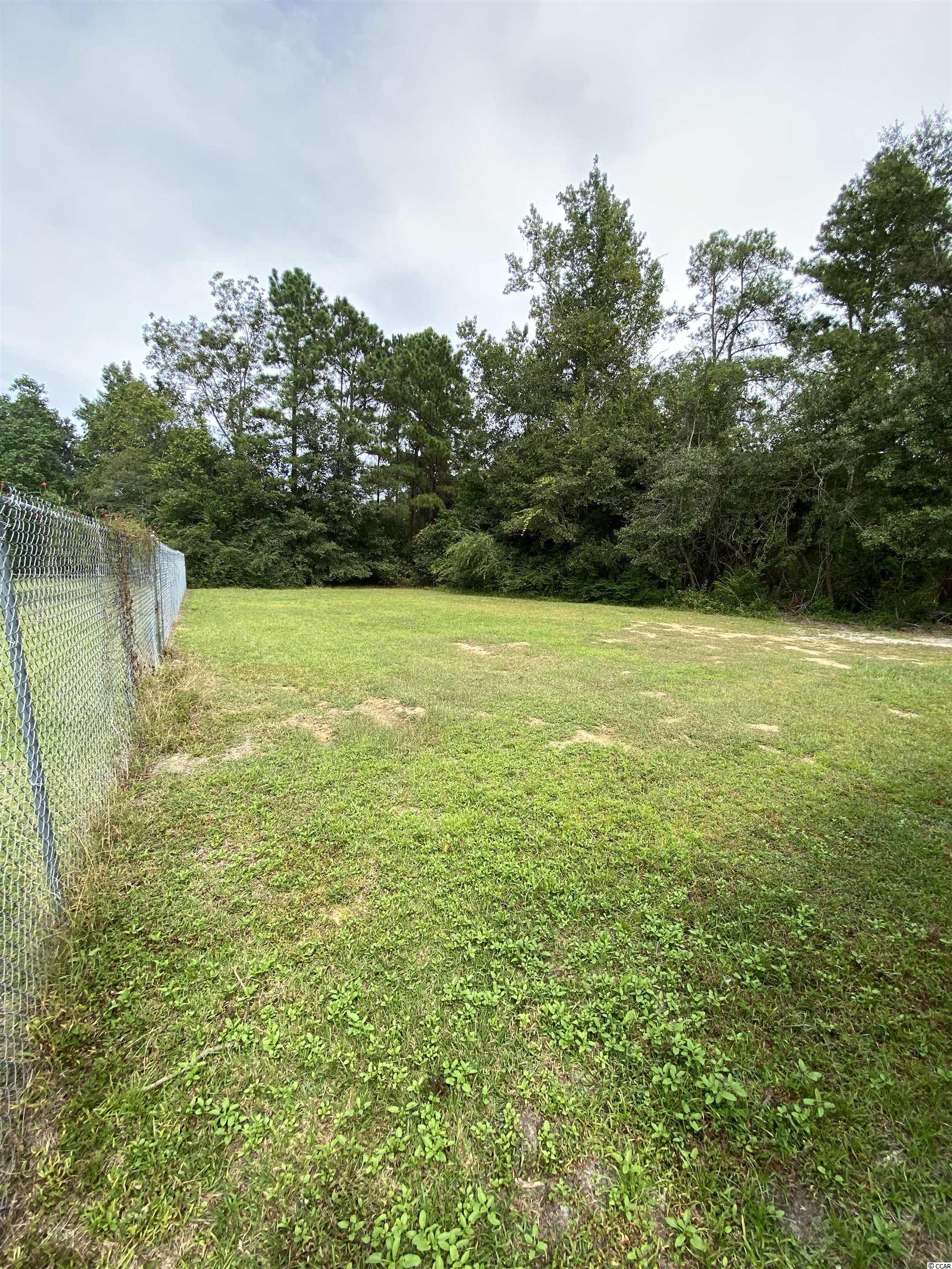 412 East Andrews Street Hemingway, SC 29554 - Photo 17 of 18