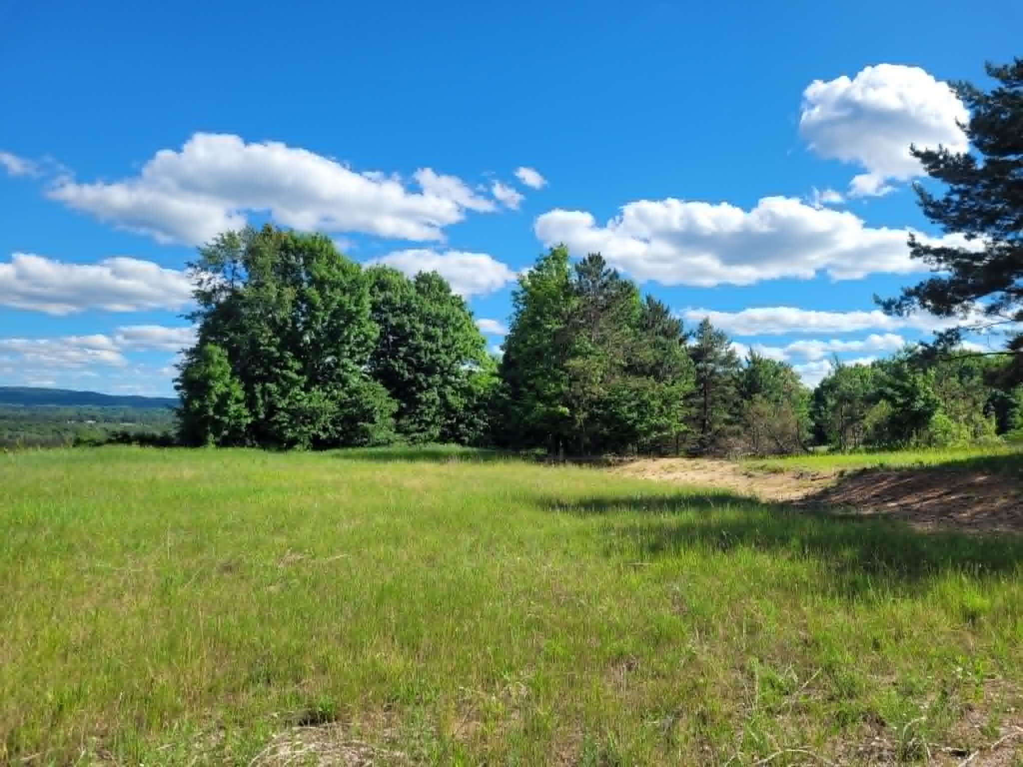 0 West 12 1/2 Road Mesick, MI 49668 - Photo 18 of 20