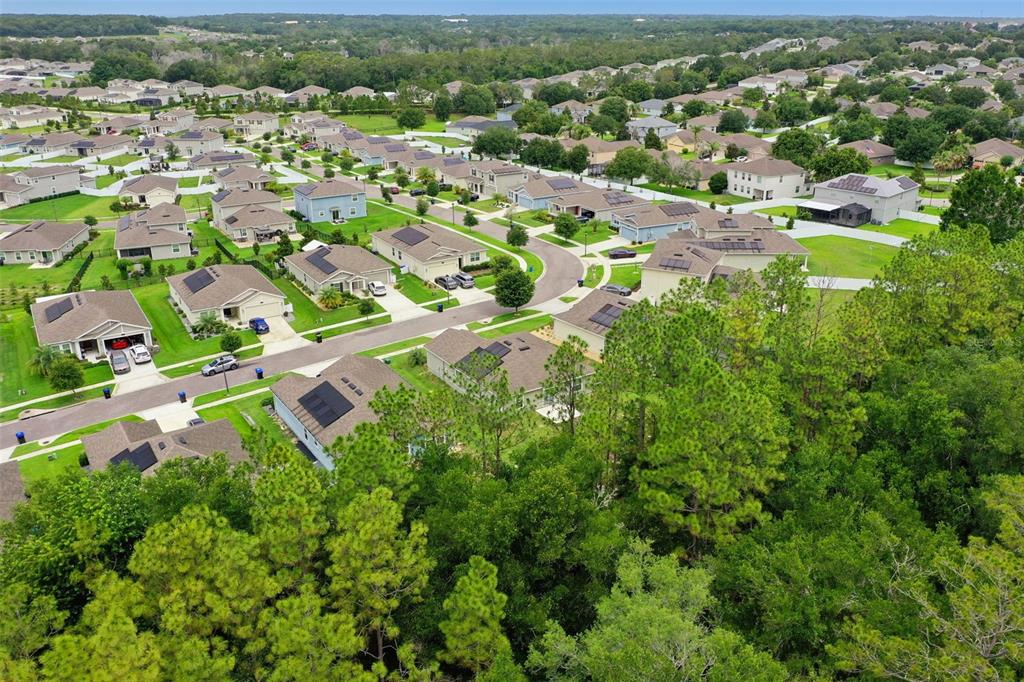 4810 Magnetite Loop Mount Mount Dora, FL 32757 - Photo 47 of 67