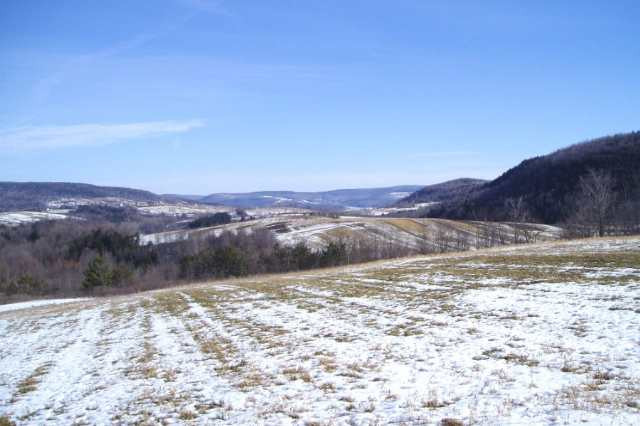 Clove Road Cobleskill, NY 12043 - Photo 3 of 6 Photo 3