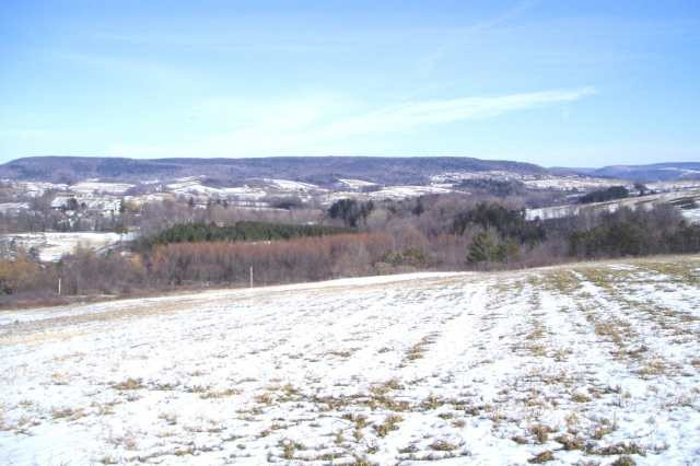 Clove Road Cobleskill, NY 12043 - Photo 4 of 6 Photo 4