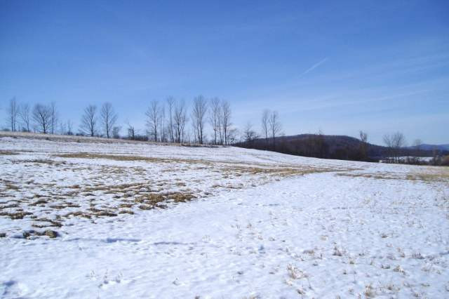 Clove Road Cobleskill, NY 12043 - Photo 6 of 6 Photo 6