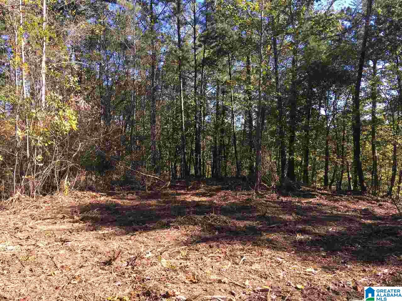 9150 Sunview Road, Unit 12 Warrior, AL 35180 - Photo 6 of 6