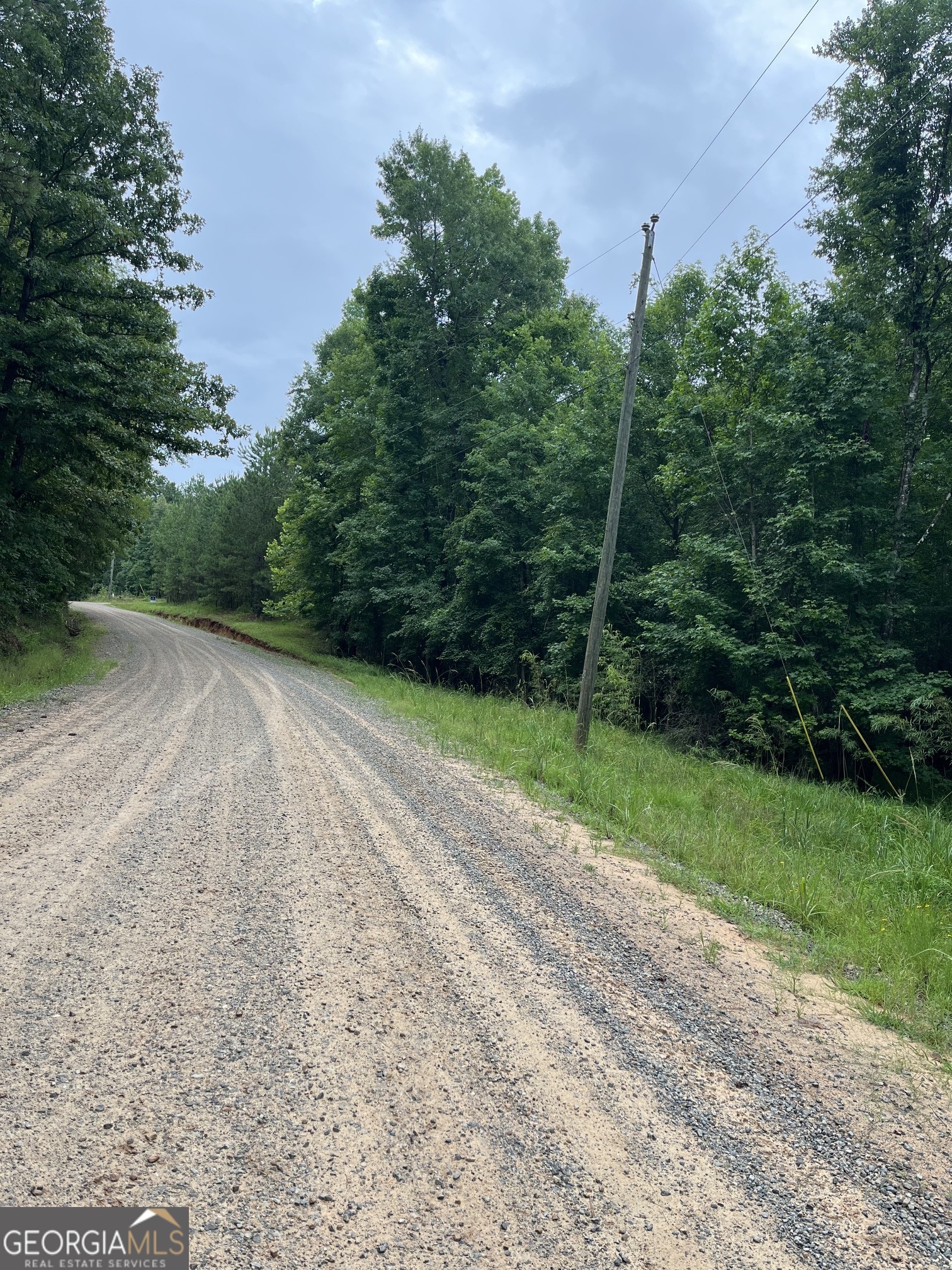 0 Ellis Church Road Haddock, GA 31033 - Photo 13 of 13