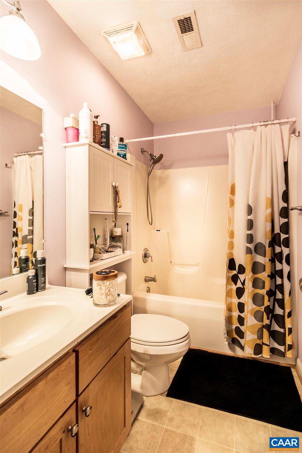 196 Logtrac Road Stanardsville, VA 22973 - Photo 33 of 34 a bathroom with a sink a toilet a shower and a mirror