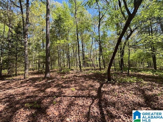849 Cornelia Road Brierfield, AL 35035 - Photo 7 of 34