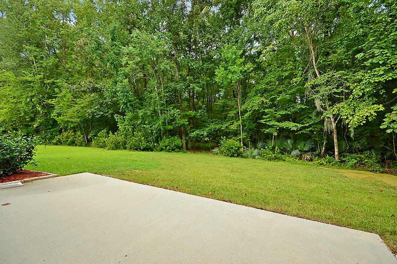 119 Spring Meadows Drive Summerville, SC 29485 - Photo 34 of 40 DSC_0069-copy