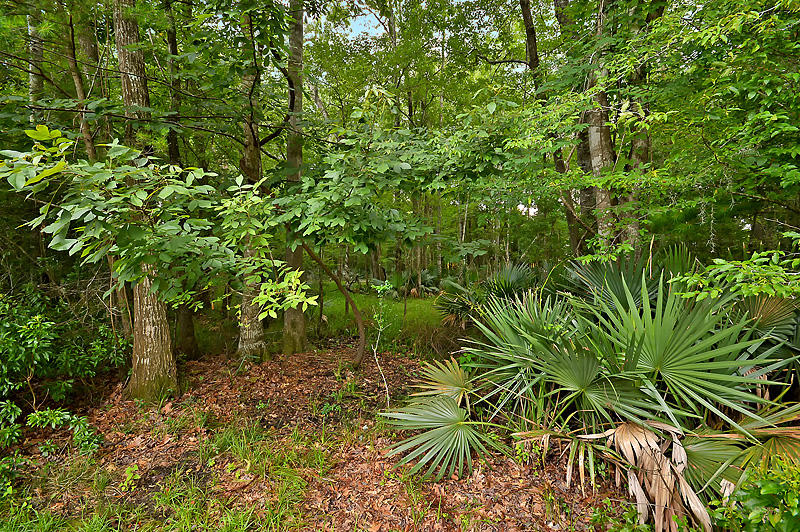 119 Spring Meadows Drive Summerville, SC 29485 - Photo 39 of 40 DSC_0062-copy