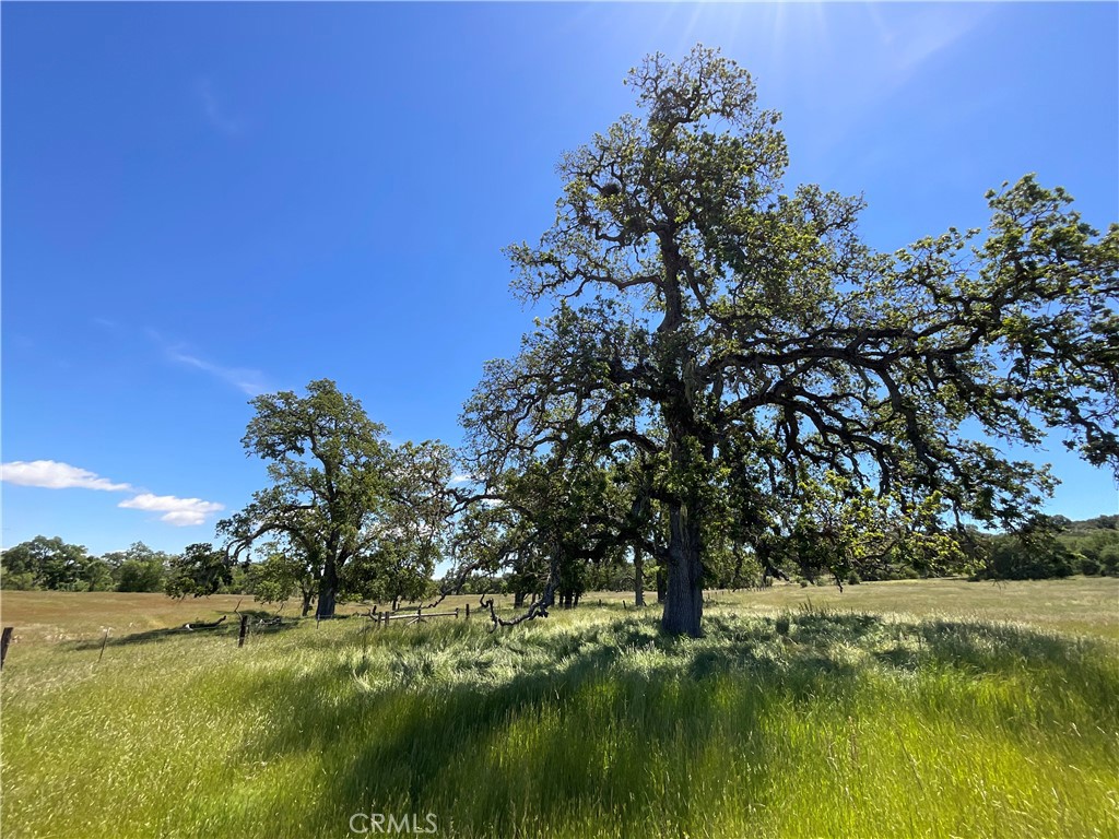 0 Interlake Road Bradley, CA 93426 - Photo 1 of 17
