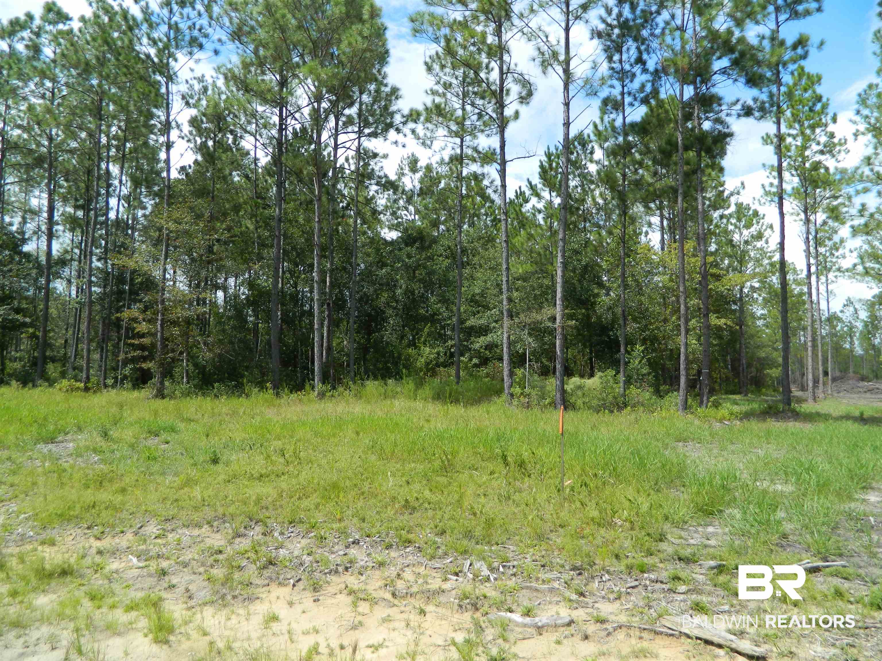 4 Foxtrap Road Axis, AL 36505 - Photo 5 of 9