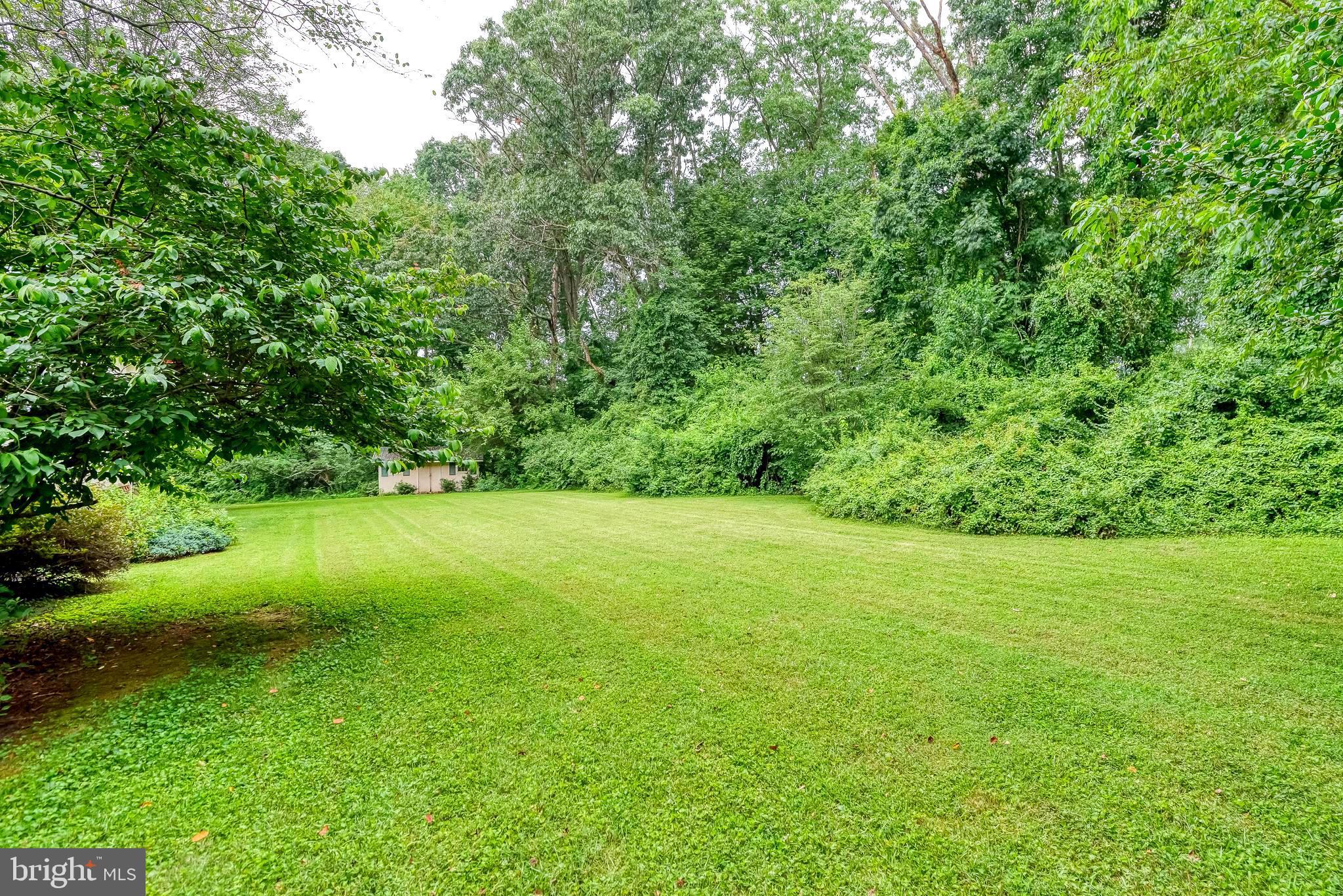 3622 Miller Road Street, MD 21154 - Photo 48 of 48 a view of field with tall trees