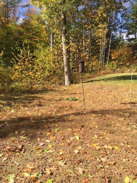 96 Deering Neighborhood Road Springvale, ME 04083 - Photo 5 of 29 2