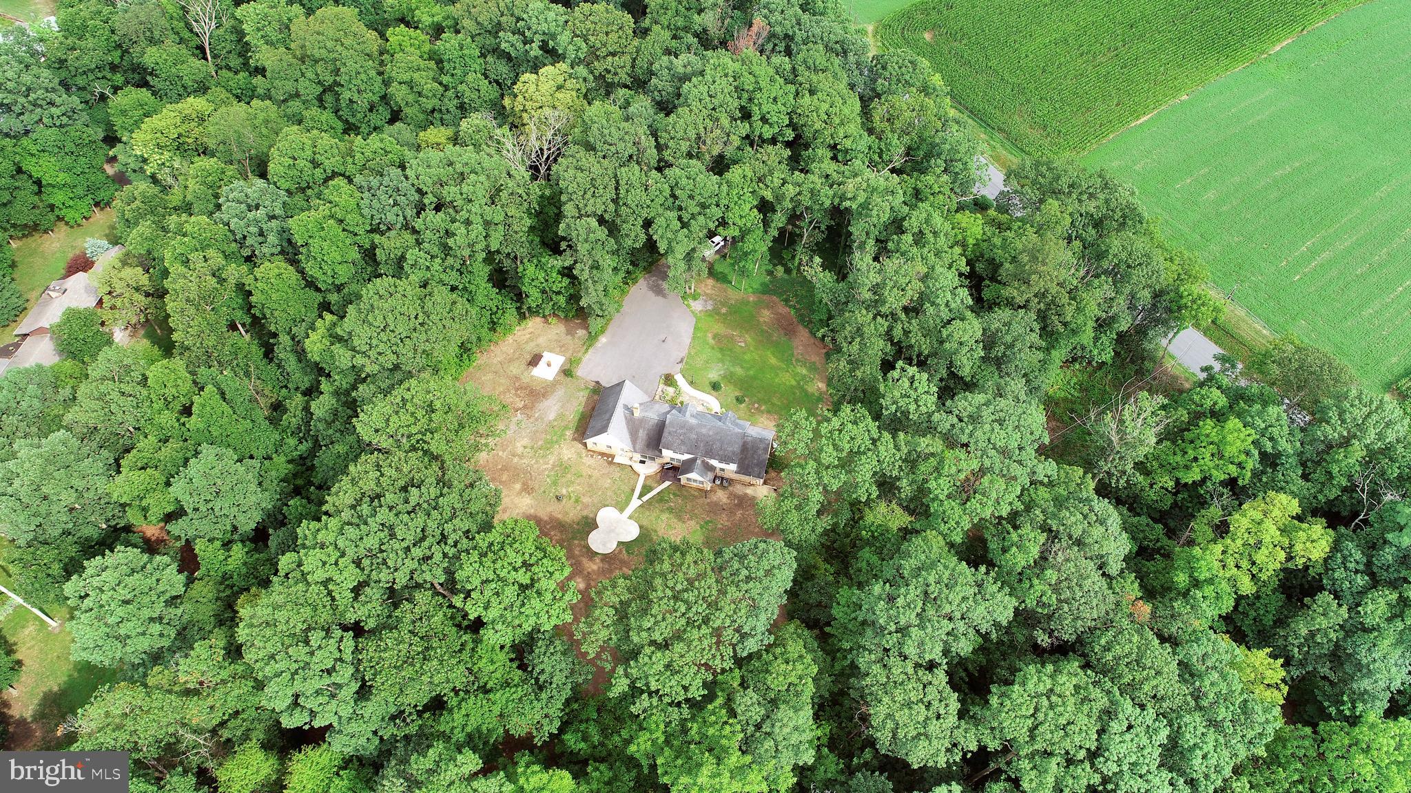 9611 Shimpstown Road Mercersburg, PA 17236 - Photo 113 of 147 PRIVACY is KEY- Take in Nature!! Beautiful Oak-Vu!