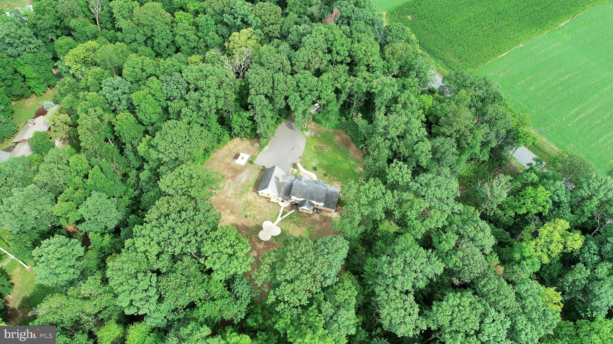 9611 Shimpstown Road Mercersburg, PA 17236 - Photo 120 of 147 (65) Trees Cleared for Entertainment Enjoyment!!