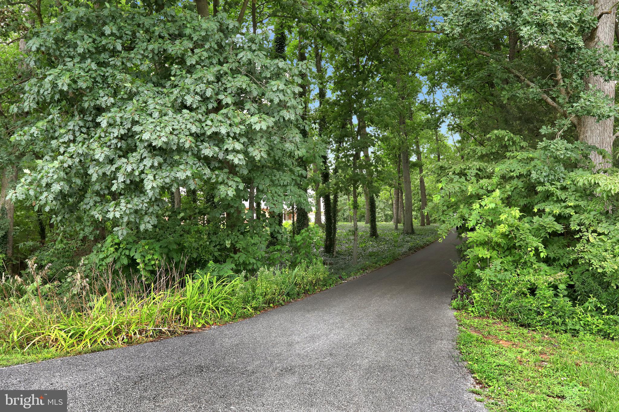 9611 Shimpstown Road Mercersburg, PA 17236 - Photo 142 of 147 The Lane to Paradise - Welcome to Oak-Vu!!