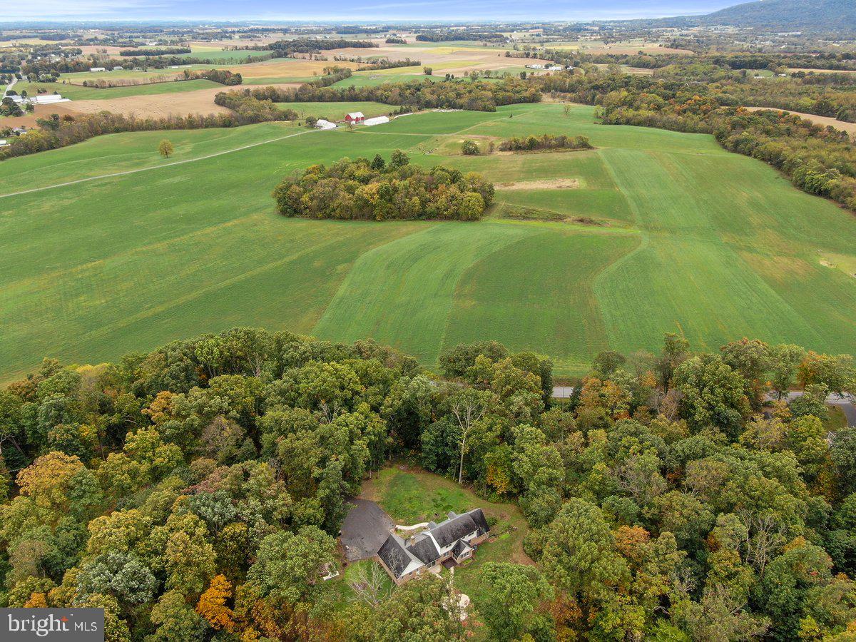 9611 Shimpstown Road Mercersburg, PA 17236 - Photo 143 of 147 Seclusion at its FINEST - Nature at Your Fingertip