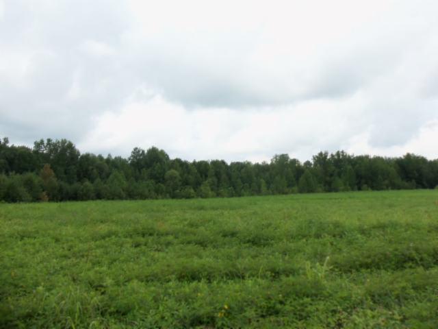 5 18 Acres Baxter Road Baxter, TN 38544 - Photo 2 of 12