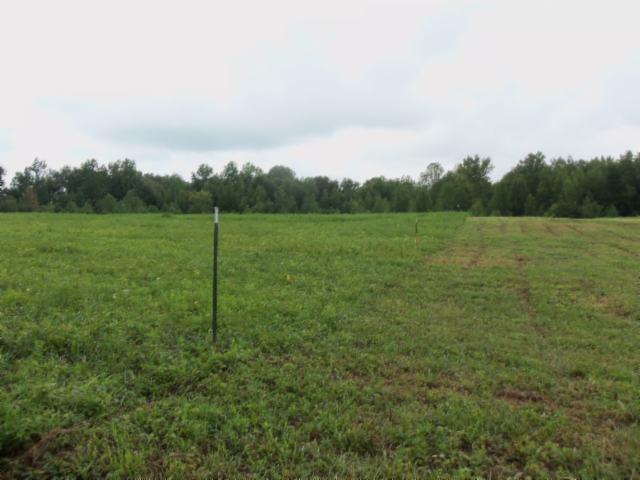 5 18 Acres Baxter Road Baxter, TN 38544 - Photo 4 of 12