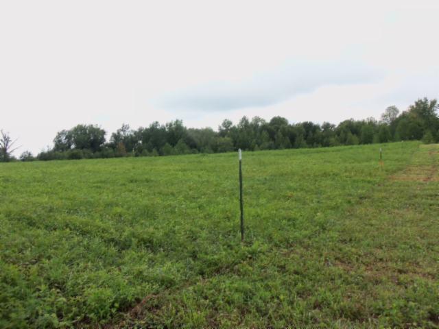 5 18 Acres Baxter Road Baxter, TN 38544 - Photo 6 of 12