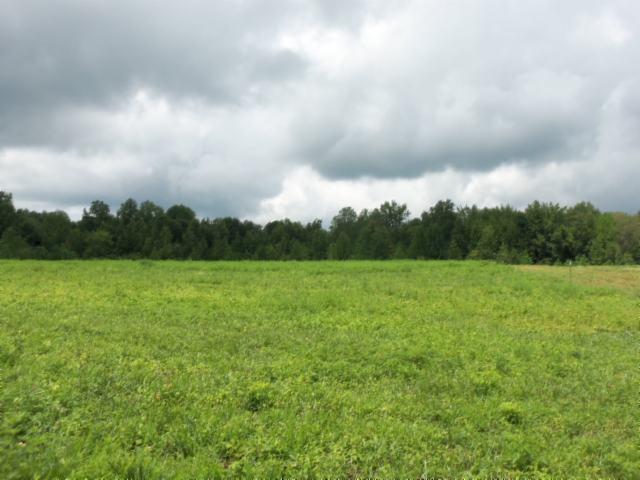 5 18 Acres Baxter Road Baxter, TN 38544 - Photo 7 of 12