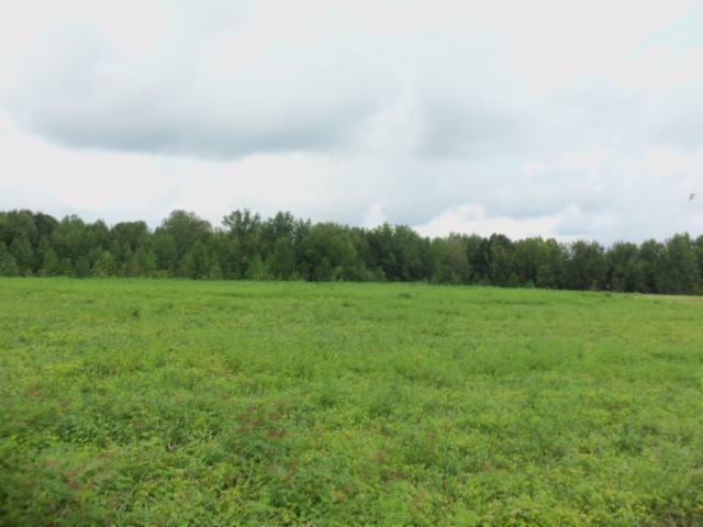 5 18 Acres Baxter Road Baxter, TN 38544 - Photo 8 of 12