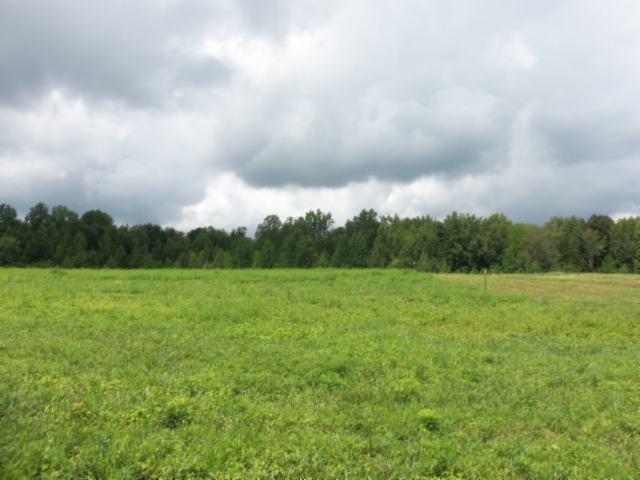 5 18 Acres Baxter Road Baxter, TN 38544 - Photo 10 of 12