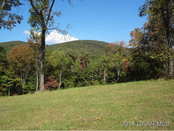 295 Summerdean Road Middlebrook, VA 24459 - Photo 3 of 8 a view of a field with a tree
