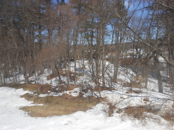57 Jacqueline Road, Unit 11 Waltham, MA 02452 - Photo 16 of 21 Gallery Image 16
