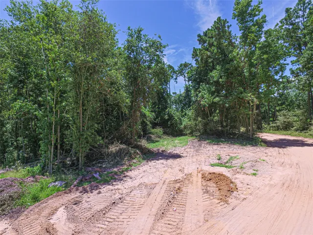 a view of a yard with plants and trees