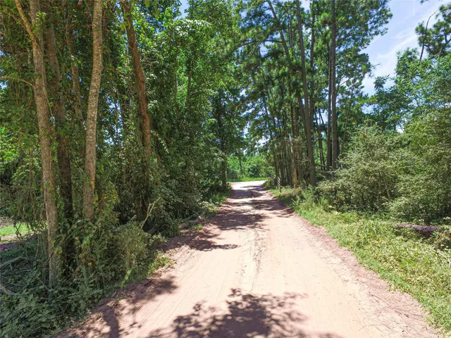 a view of a road with trees in the background