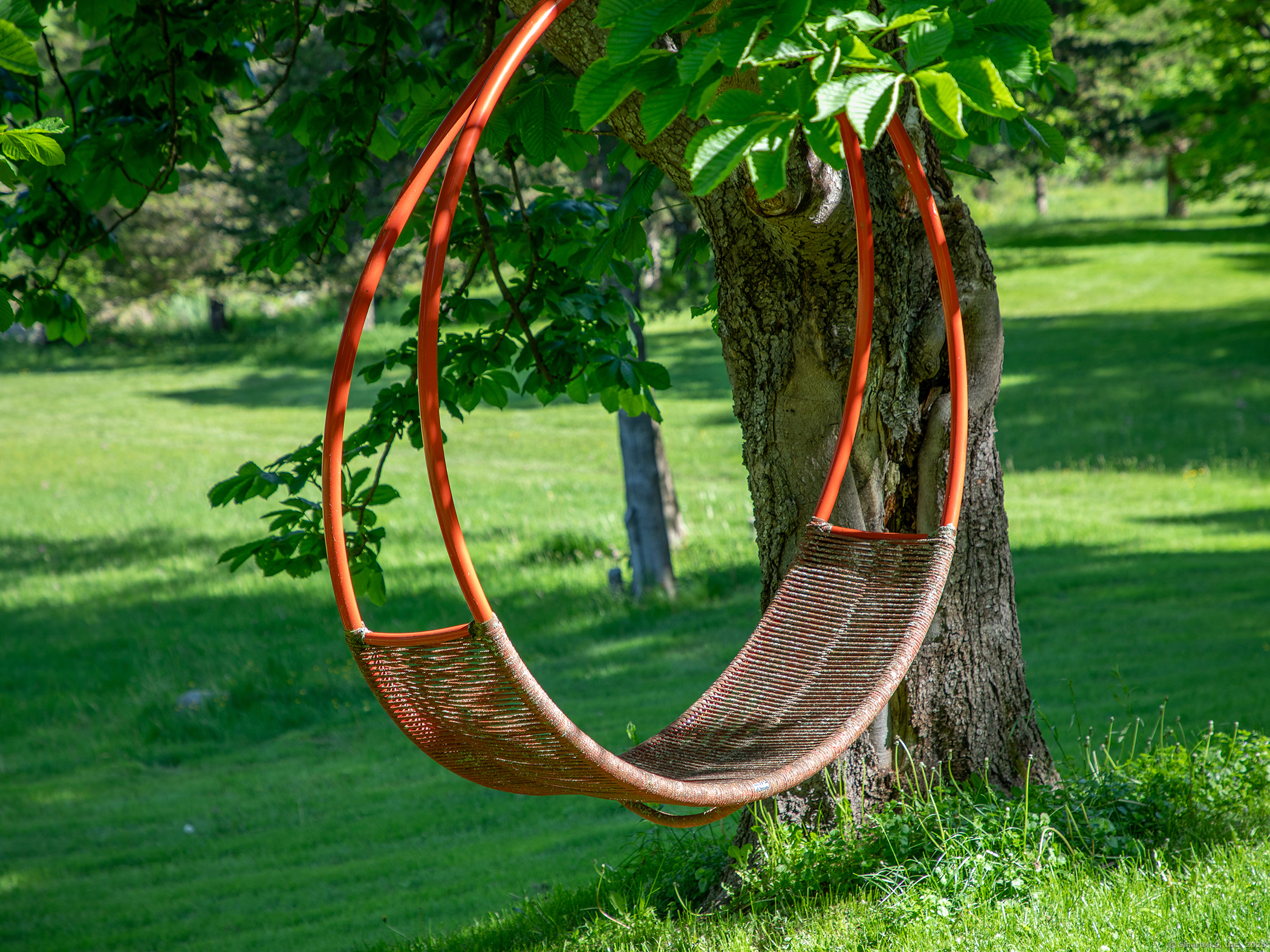 110 Geer Mountain Road Kent, CT 06785 - Photo 40 of 40 a view of a park with large trees