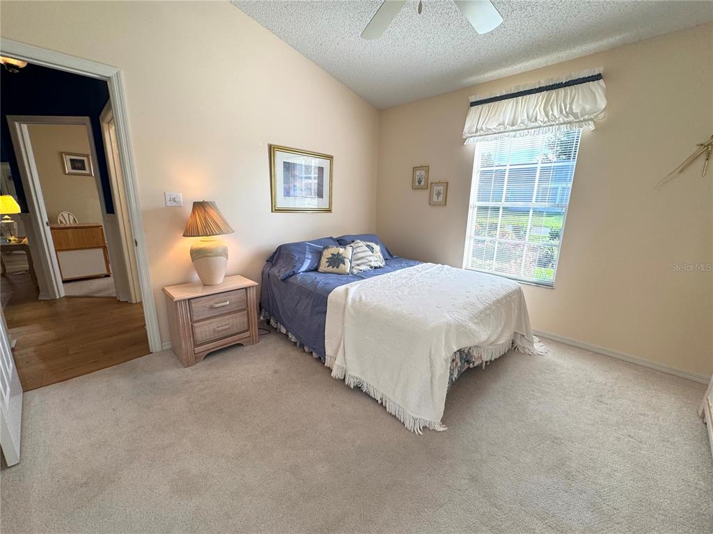 4755 Tara View Road Leesburg, FL 34748 - Photo 45 of 100