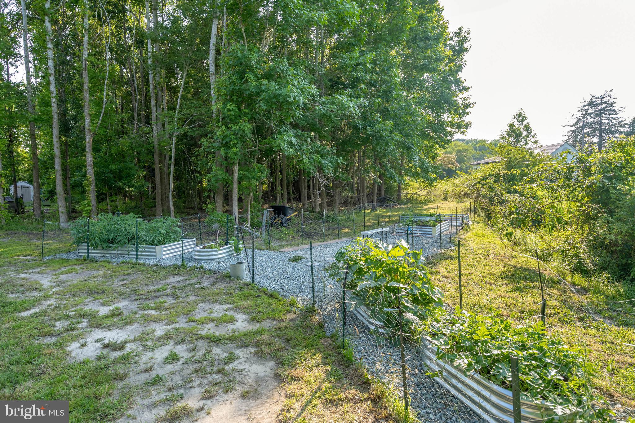 38155 Muddy Neck Road Ocean View, DE 19970 - Photo 45 of 67 Grow your own vegetables