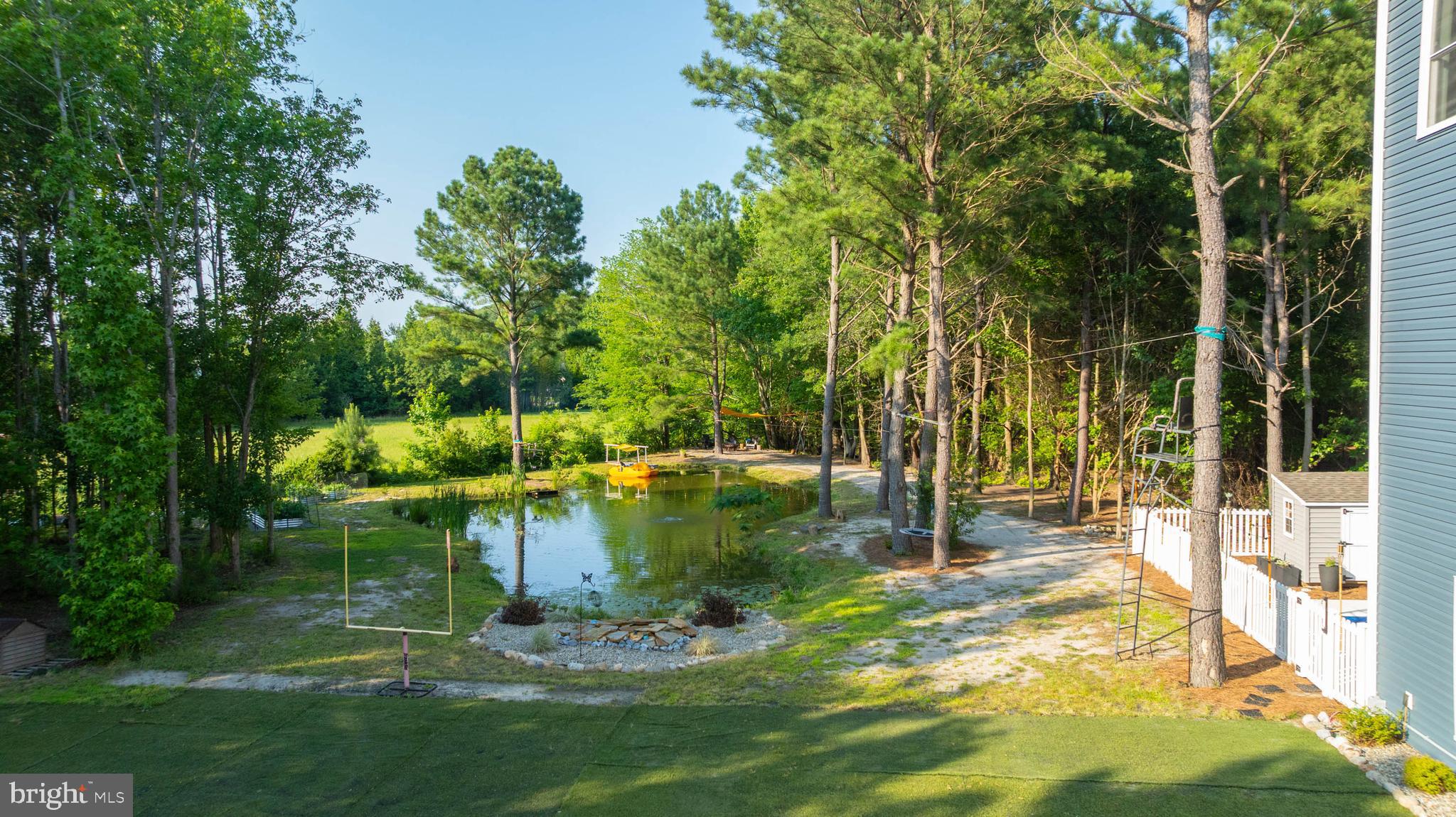 38155 Muddy Neck Road Ocean View, DE 19970 - Photo 48 of 67 Pond for catch and release fishing
