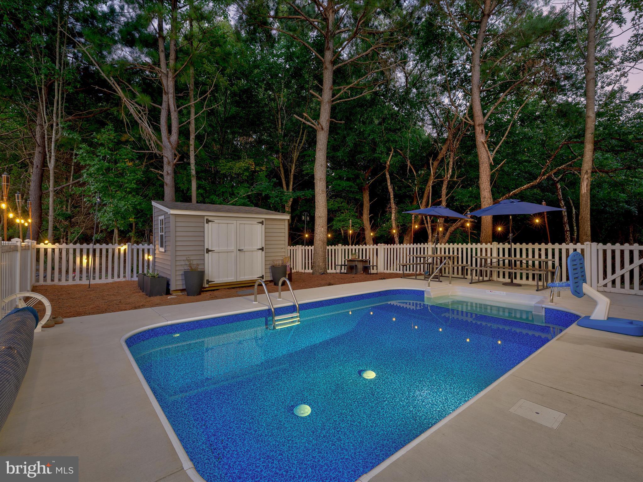 38155 Muddy Neck Road Ocean View, DE 19970 - Photo 58 of 67 Night swimming or just relaxing in the pool