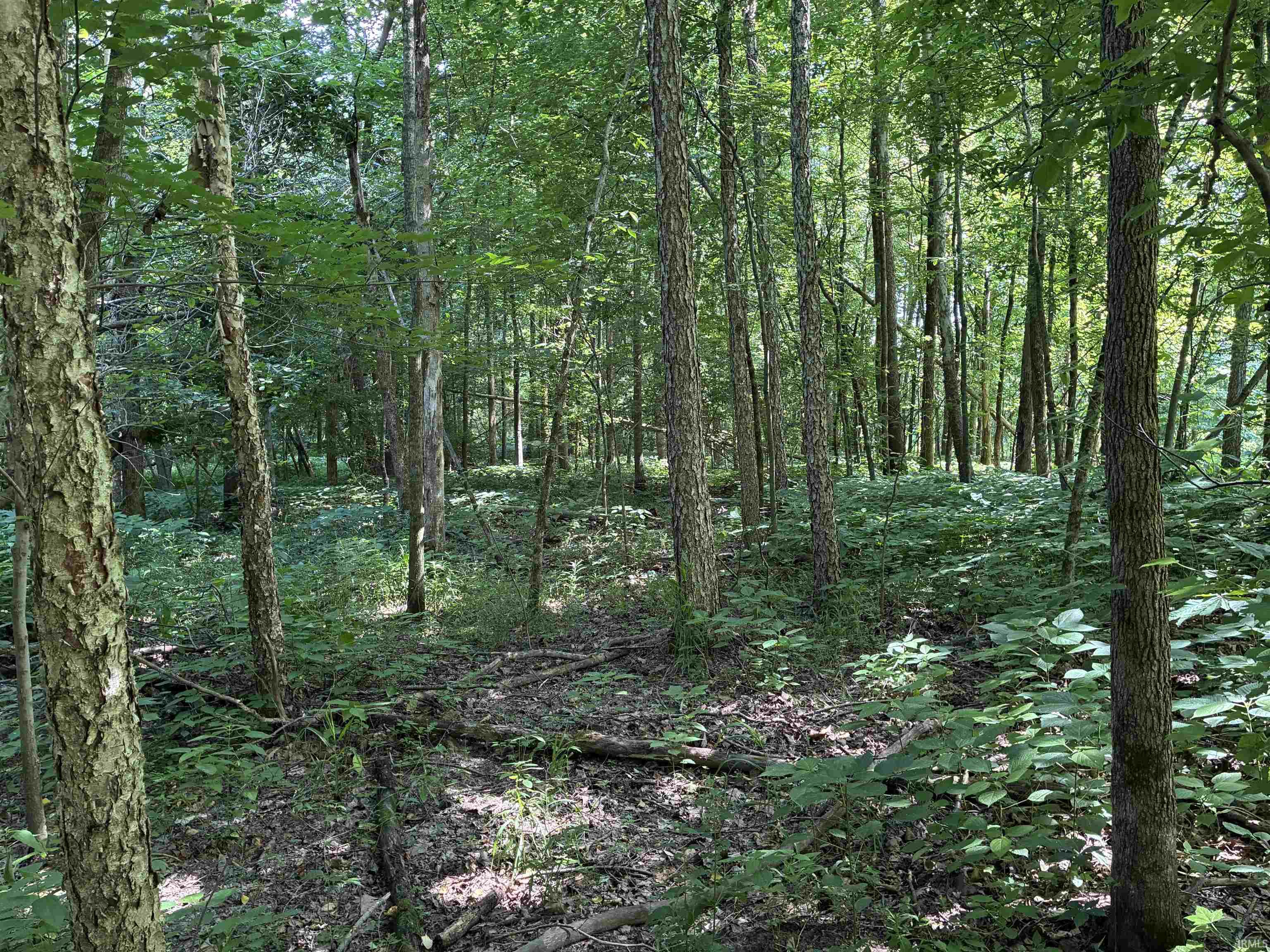 257 State Road Velpen, IN 47590 - Photo 22 of 29