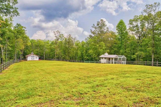 a view of a lush green and green yard