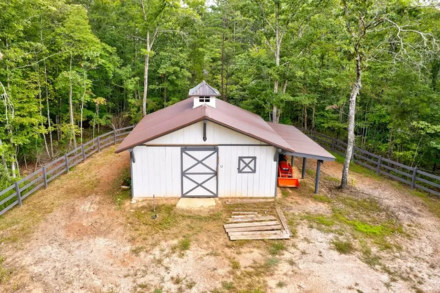 a view of a lush green forest with lush green forest