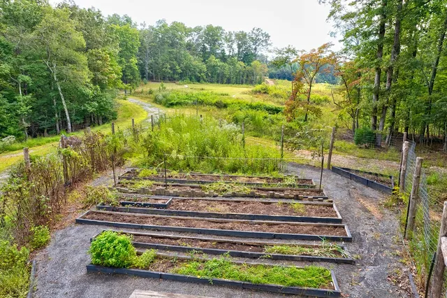 $995,000 | 174 Bear Hollow Drive, Mineral Bluff, GA 30559