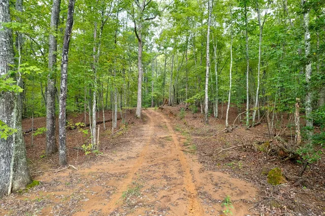 $995,000 | 174 Bear Hollow Drive, Mineral Bluff, GA 30559