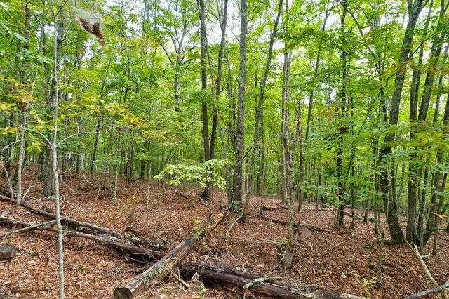 $995,000 | 174 Bear Hollow Drive, Mineral Bluff, GA 30559